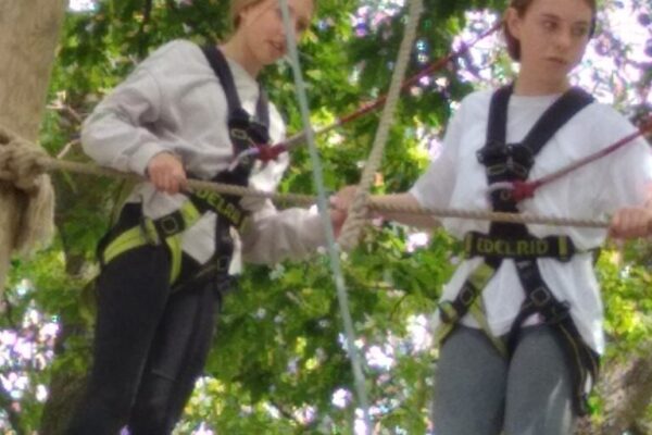 Y9 Tree Top Trek and Great Yorkshire Show (1)