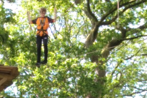 Y9 Tree Top Trek and Great Yorkshire Show (6)