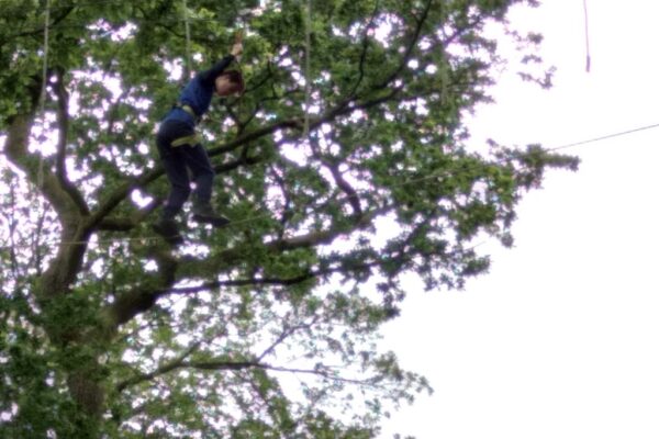 Y9 Tree Top Trek and Great Yorkshire Show (8)