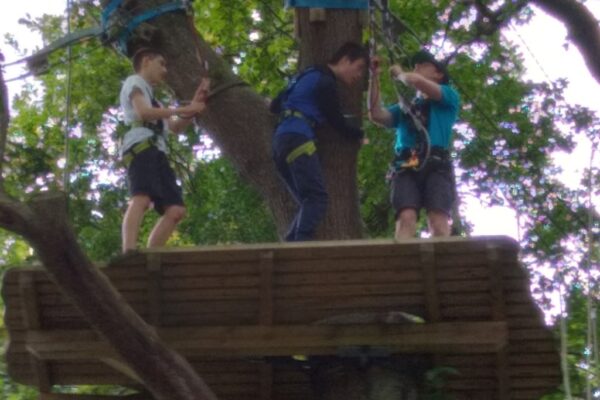 Y9 Tree Top Trek and Great Yorkshire Show (9)